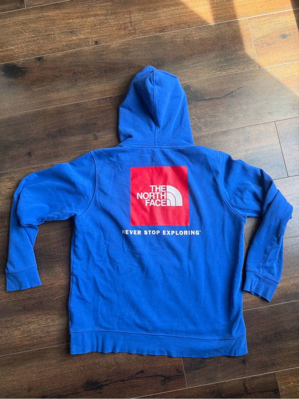The North Face Mens Blue Hoodie with Red Logo